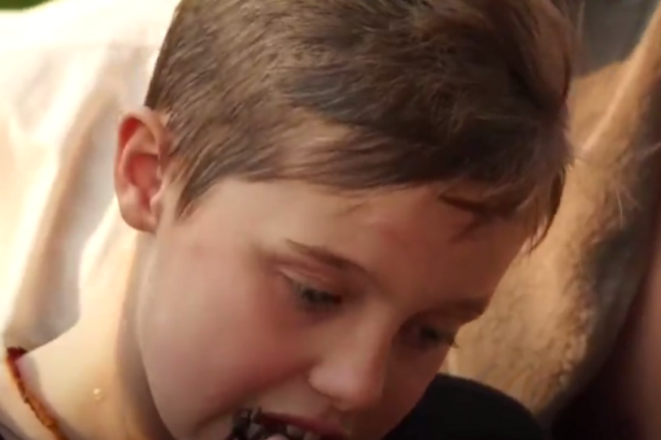 Angelina Jolie, Brad Pitt, divórcio, atriz, Camboja, filhos, escorpiões, tarântulas, grilos