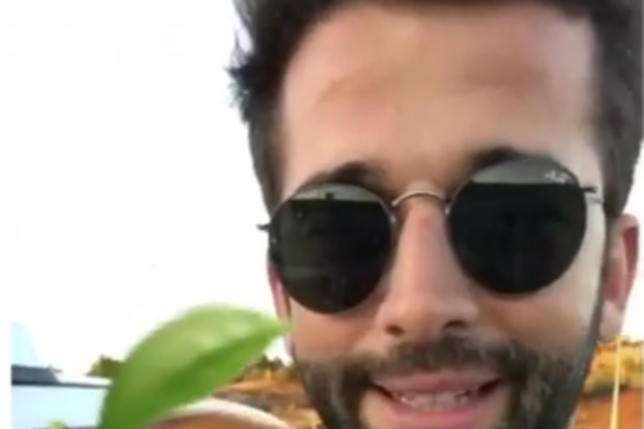 Henrique Ramos, Super Dragões, Turkish Airlines