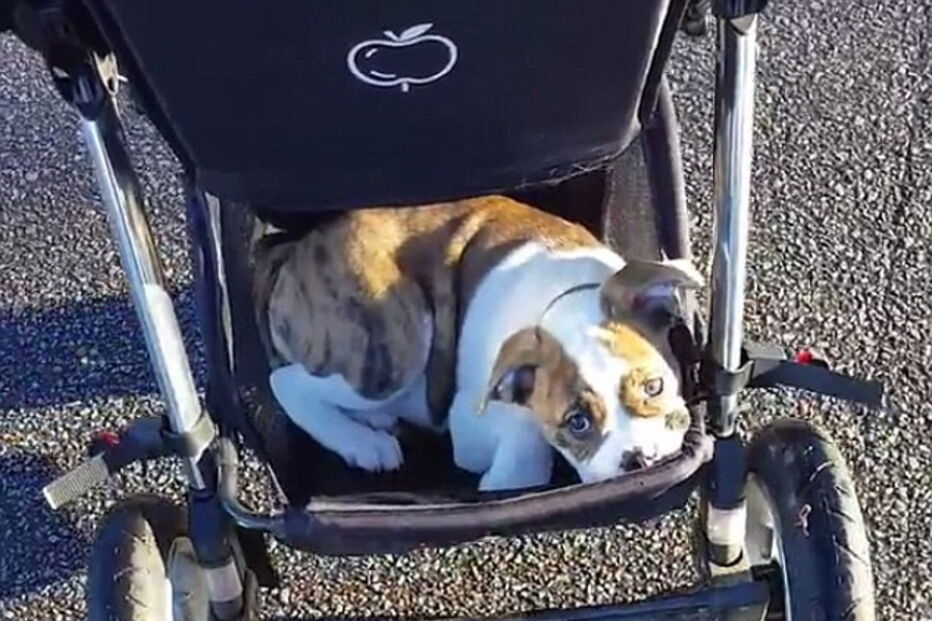 Betty apanhou boleia