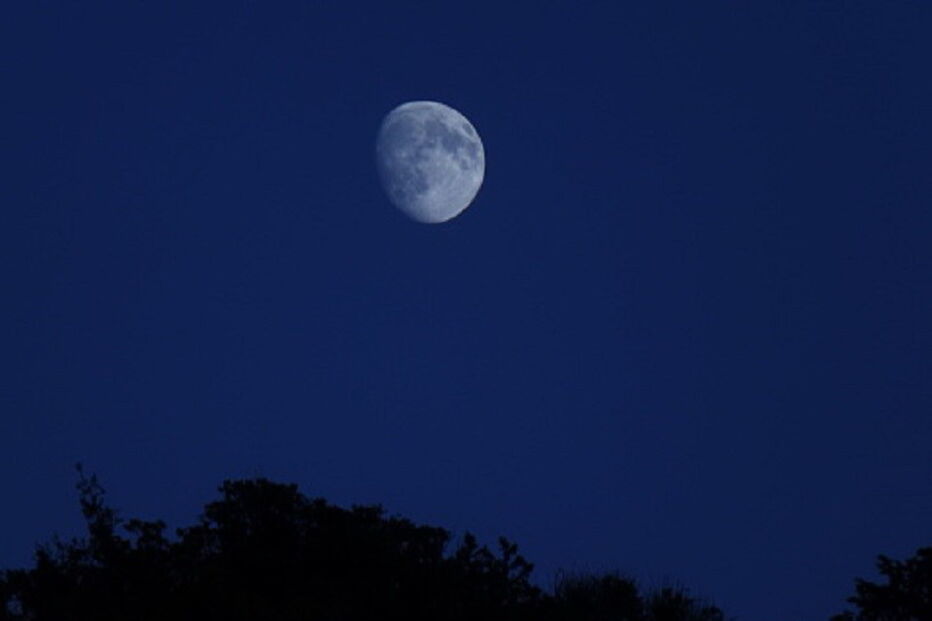 SpaceX, Terra, Lua, viagem, turistas, economia, negócios e finanças, Dragon