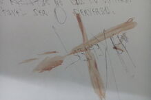 Polícia Judiciária encontrou várias massagens satânicas escritas por Tó Jó