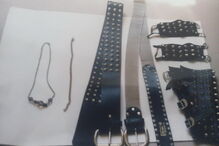 Polícia Judiciária, crime ílhavo, Tó Jó