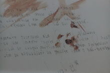 2017-03-02_16_42.18 M2-12274564.JPG