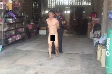 Homem foi detido depois de ter sido apanhado a ter relações sexuais com uma vaca