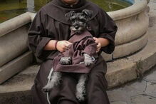 Schnauzer chama-se Frei Bigode já tem um hábito para vestir