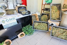 Núcleo de Investigação Criminal de Silves da GNR, Destacamento de Intervenção, Tunes, Galé, Albufeira, crime, lei e justiça, tráfico de droga