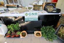 Núcleo de Investigação Criminal de Silves da GNR, Destacamento de Intervenção, Tunes, Galé, Albufeira, crime, lei e justiça, tráfico de droga