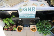 Núcleo de Investigação Criminal de Silves da GNR, Destacamento de Intervenção, Tunes, Galé, Albufeira, crime, lei e justiça, tráfico de droga