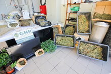 Núcleo de Investigação Criminal de Silves da GNR, Destacamento de Intervenção, Tunes, Galé, Albufeira, crime, lei e justiça, tráfico de droga