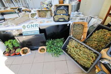 Núcleo de Investigação Criminal de Silves da GNR, Destacamento de Intervenção, Tunes, Galé, Albufeira, crime, lei e justiça, tráfico de droga