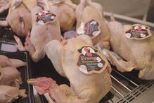 O grupo Lusiaves lidera o setor avícola nacional