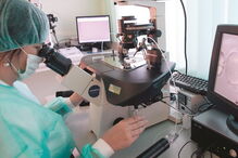 doação, esperma, casais, Banco Público de Gâmetas, família, filhos, óvulos, saúde, fertilidade, infertilidade