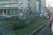 Avenida dos Estados Unidos da América, Avenida Gago Coutinho, queda árvore, Lisboa