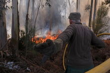 2017-03-14_17_01.58 M2-13604883.JPG