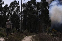 2017-03-14_17_02.03 M2-13604891.JPG