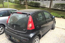  Milhares de automobilistas acordaram na manhã desta quarta-feira com os carros sujos de poeira