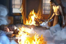 Arguida é suspeita de fogo florestal há sete meses e de queimar o próprio carro