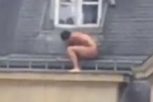 2017-03-18_11_51.17 showimage.jpg