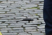 2017-03-22_17_21.58 faca.jpg