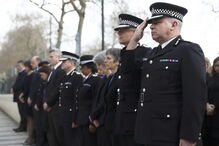 2017-03-23_10_18.12 M2-13657936.JPG