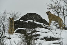 2017-03-23_11_38.04 M2-13652825.JPG