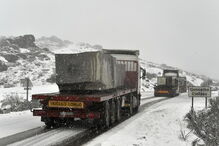 2017-03-23_11_38.07 M2-13652830.JPG