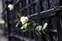 2017-03-24_09_40.42 M2-13664444.JPG