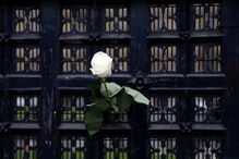 2017-03-24_09_40.48 M2-13664603.JPG