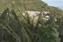 Corpo foi encontrado na casa onde vivia a vítima, na Madeira, com sinais de grande violência