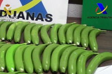 Bananas de resina ocultavam 7 kilos de cocaína