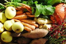 alimentos biológicos 