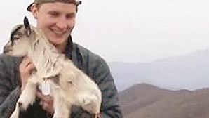 Homem faz pedido de casamento com cabra