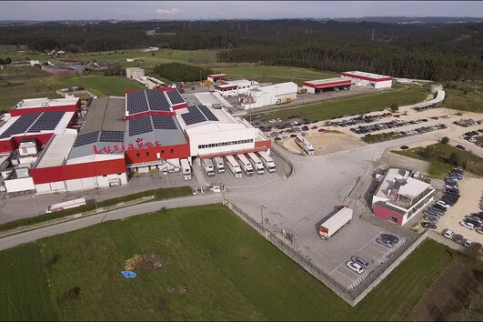 O grupo Lusiaves lidera o setor avícola nacional