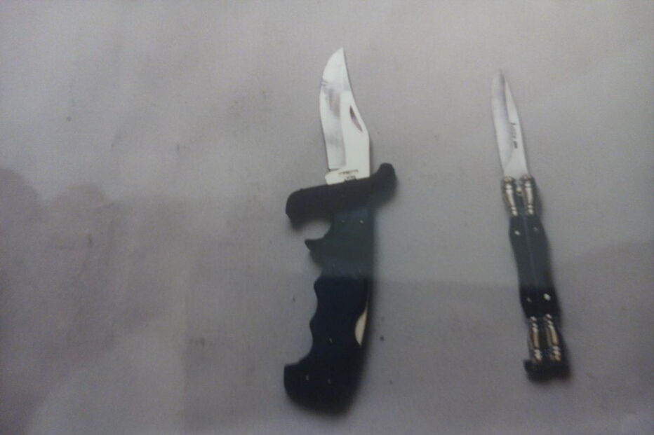 Polícia Judiciária, crime ílhavo, Tó Jó