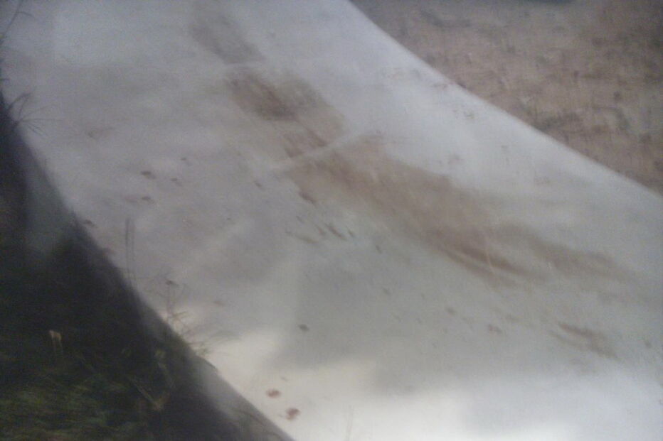 2017-03-02_16_42.24 M2-12274595.JPG