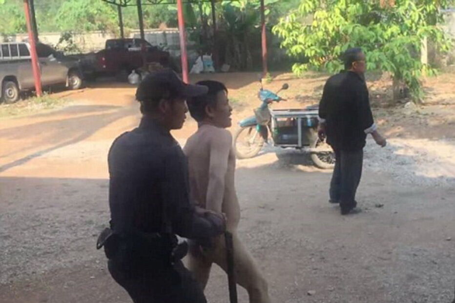 Homem foi detido depois de ter sido apanhado a ter relações sexuais com uma vaca