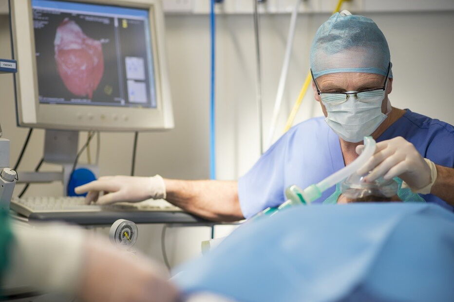 implante, coração, operação, cirurgia, doente, saúde, cardiologia, hospital de santa marta, artificial, doença renal grave, José Fragata, Lisboa