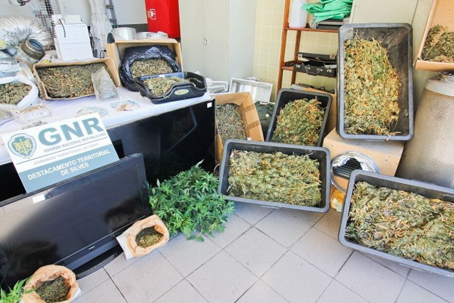 Núcleo de Investigação Criminal de Silves da GNR, Destacamento de Intervenção, Tunes, Galé, Albufeira, crime, lei e justiça, tráfico de droga