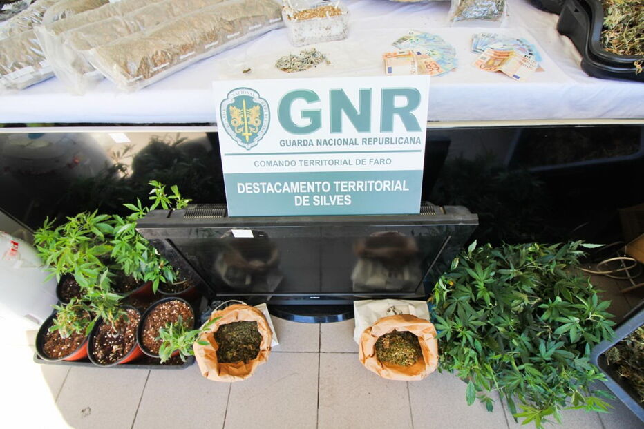 Núcleo de Investigação Criminal de Silves da GNR, Destacamento de Intervenção, Tunes, Galé, Albufeira, crime, lei e justiça, tráfico de droga