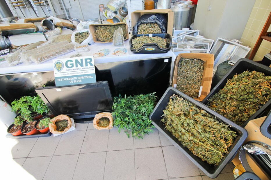 Núcleo de Investigação Criminal de Silves da GNR, Destacamento de Intervenção, Tunes, Galé, Albufeira, crime, lei e justiça, tráfico de droga