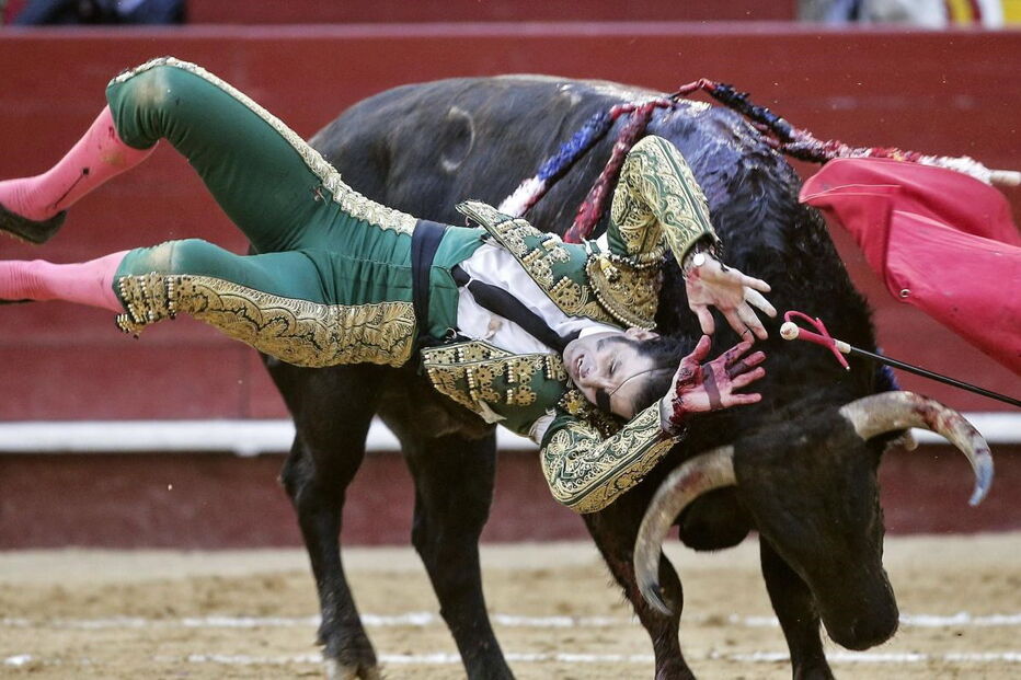 Juan José Padilla, colhido, touro, corrida, Valência, Hospital Casa de Saúde de Valência, artes, cultura e entretenimento