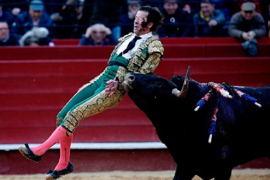 Juan José Padilla, colhido, touro, corrida, Valência, Hospital Casa de Saúde de Valência, artes, cultura e entretenimento