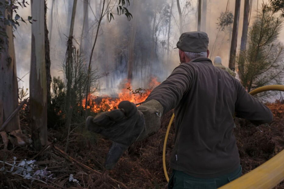 2017-03-14_17_01.58 M2-13604883.JPG