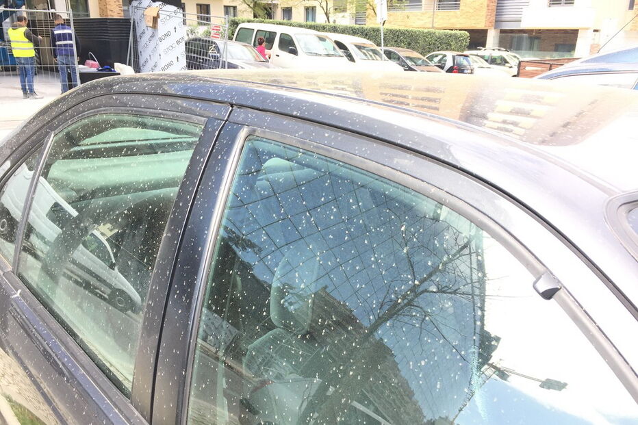  Milhares de automobilistas acordaram na manhã desta quarta-feira com os carros sujos de poeira