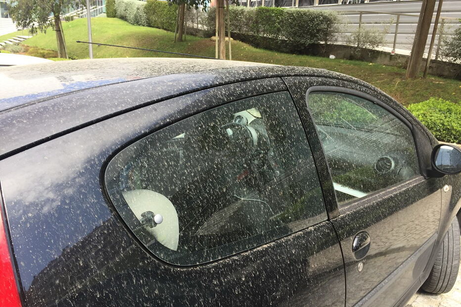  Milhares de automobilistas acordaram na manhã desta quarta-feira com os carros sujos de poeira