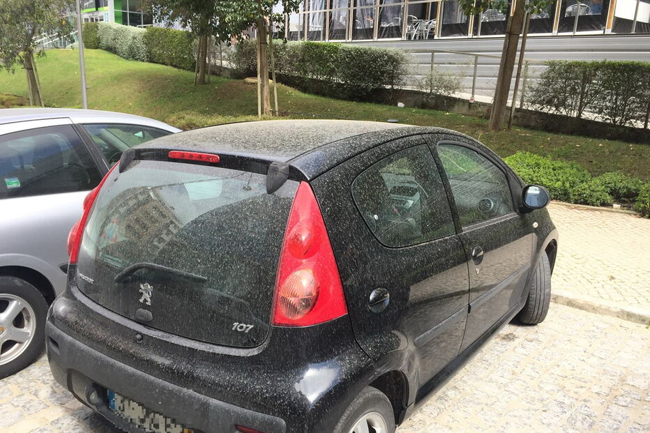  Milhares de automobilistas acordaram na manhã desta quarta-feira com os carros sujos de poeira