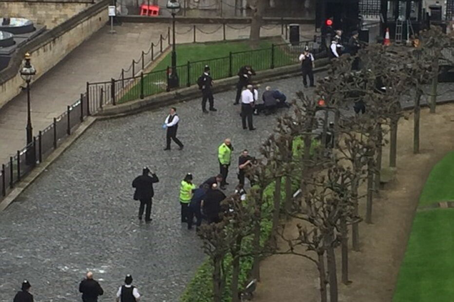 Homem atropleou várias pessoas antes de embater no gradeamento do Parlamento