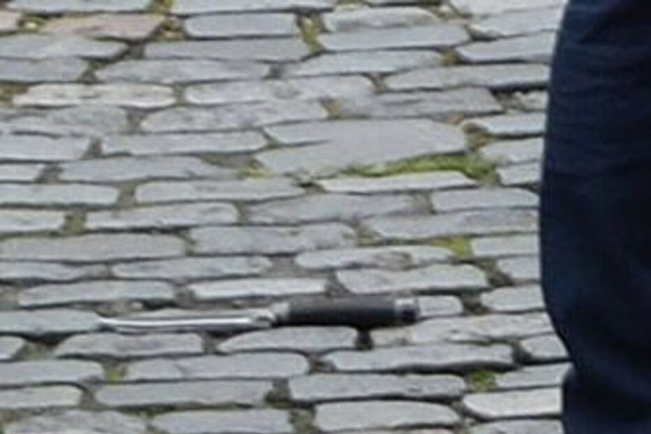 2017-03-22_17_21.58 faca.jpg