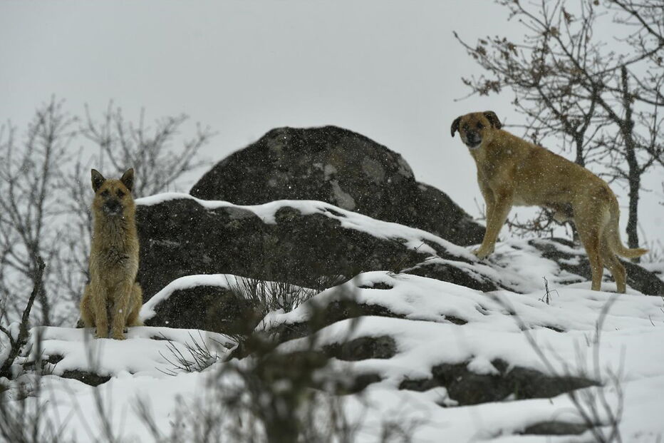 2017-03-23_11_38.04 M2-13652825.JPG