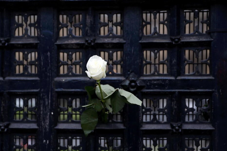 2017-03-24_09_40.40 M2-13664442.JPG